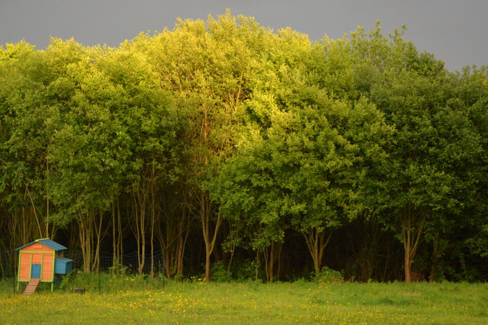 Weather dark nature