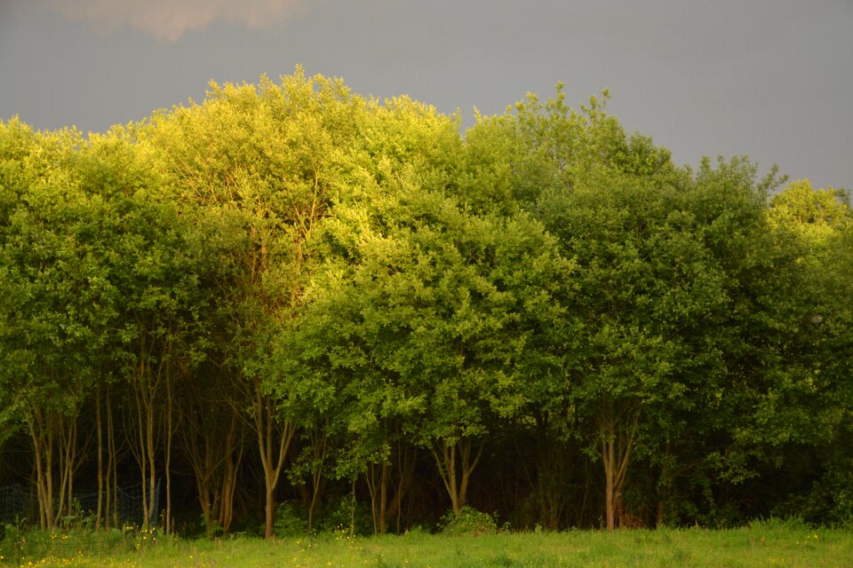 Weather dark nature