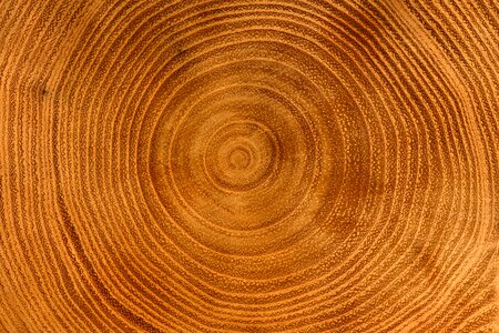 Background grain log