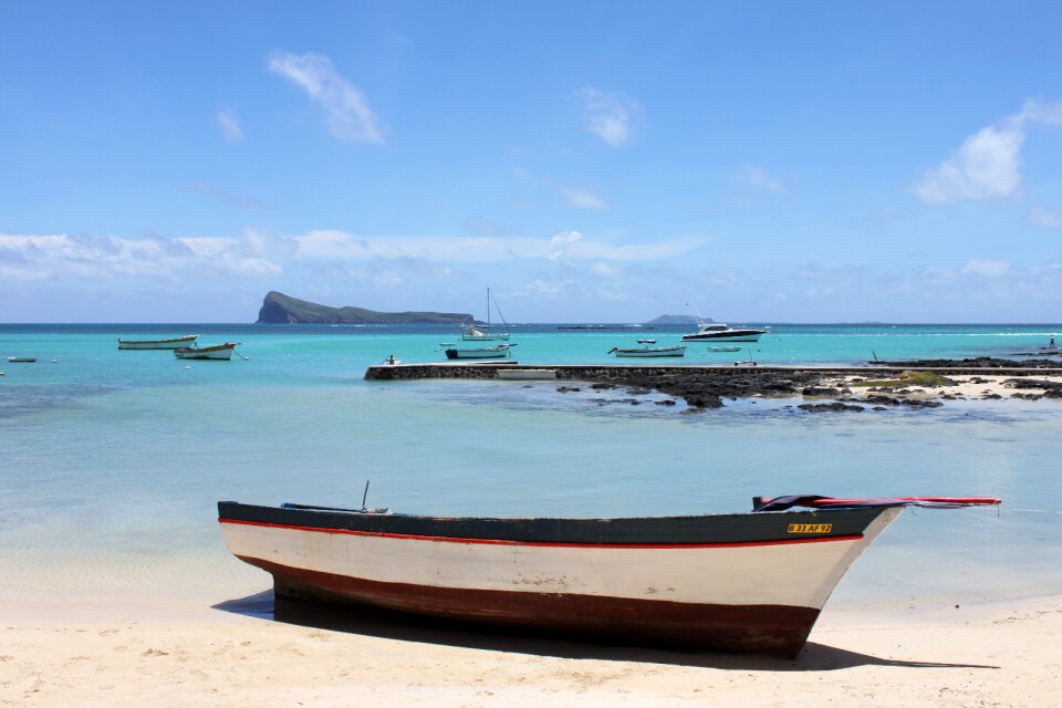 Water beach ocean
