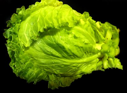 Fresh organic nature
