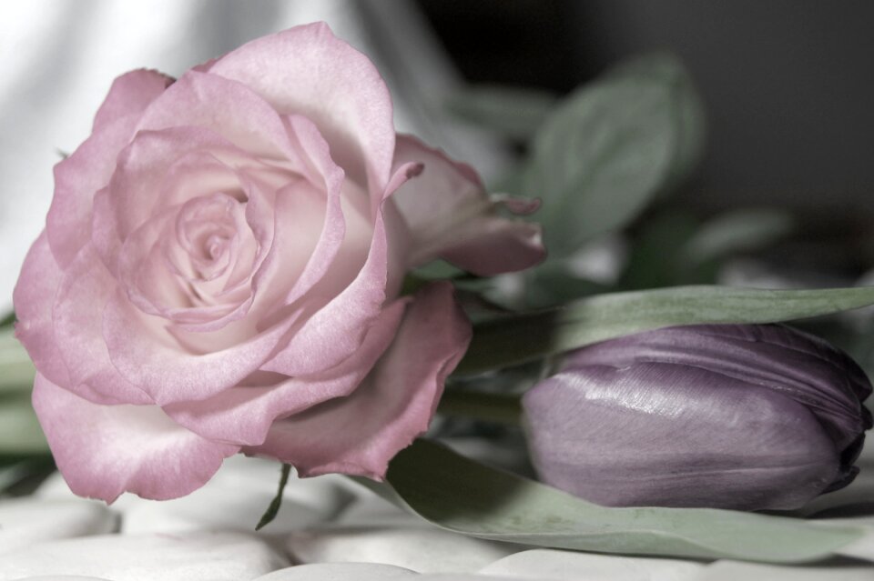 Pink floral greeting decoration