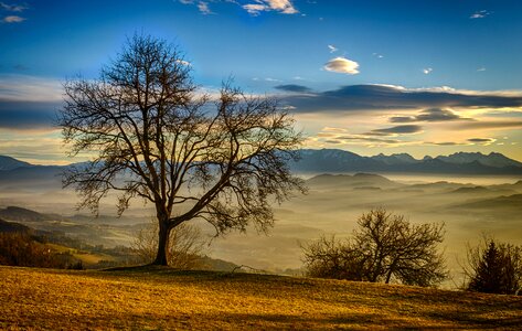 Fog autumn nature photo