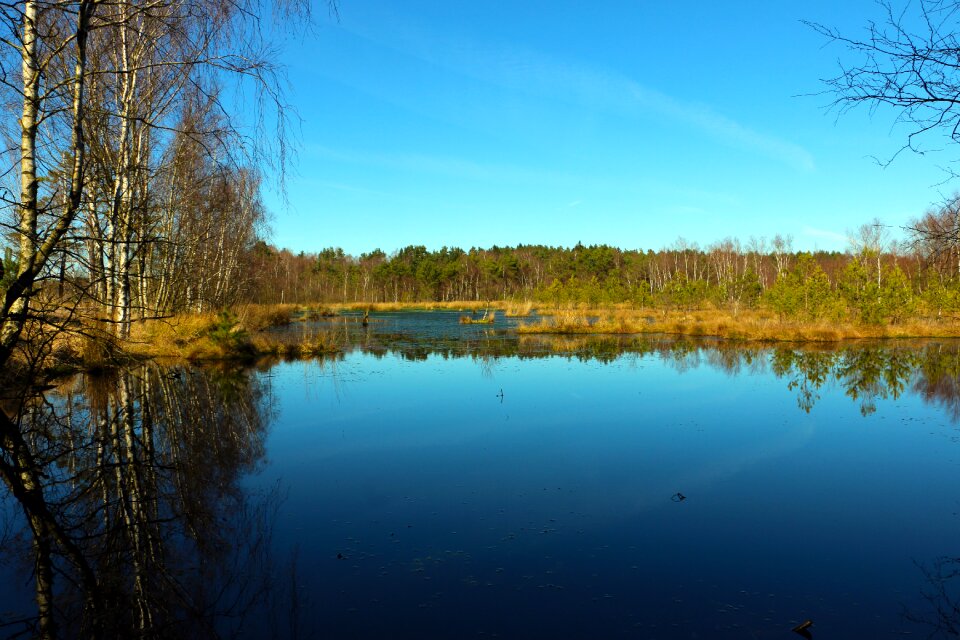 Pietz moor mirroring wetland