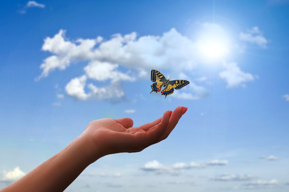 Flying freedom faith