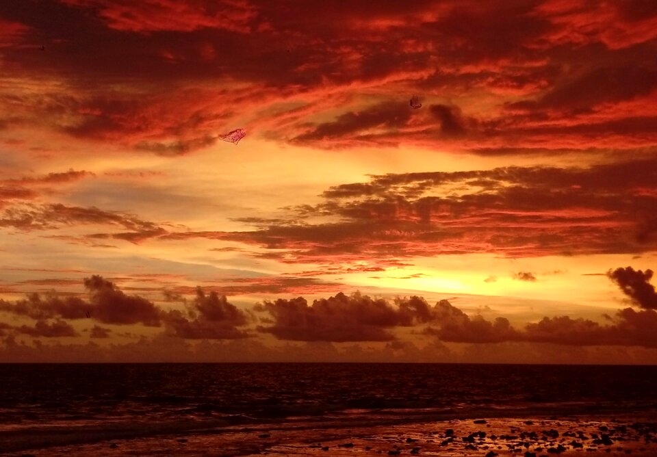 Evening golden beautiful