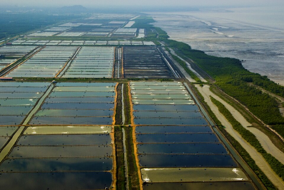 Sekincan town aerial view