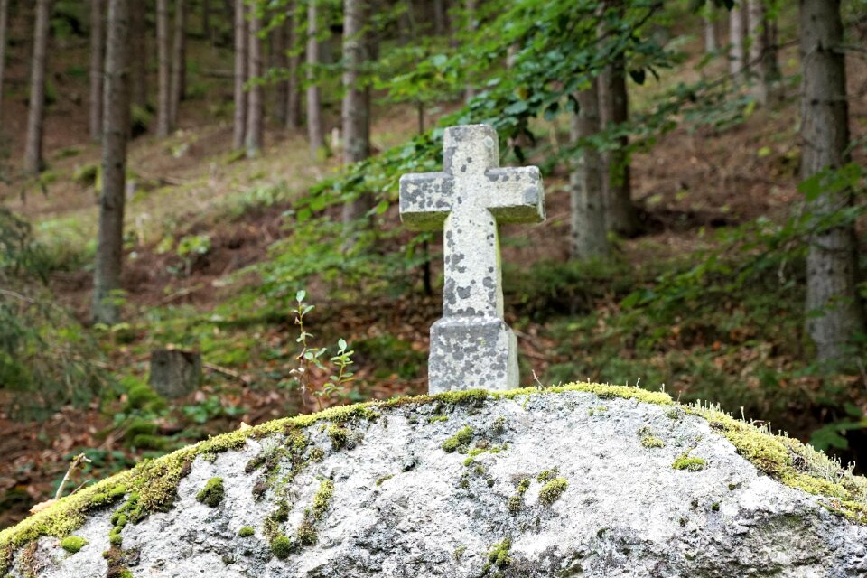 Religion grave trees