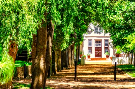 Mansion path nature photo