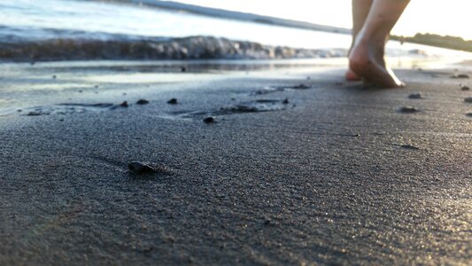 Sand footprints water