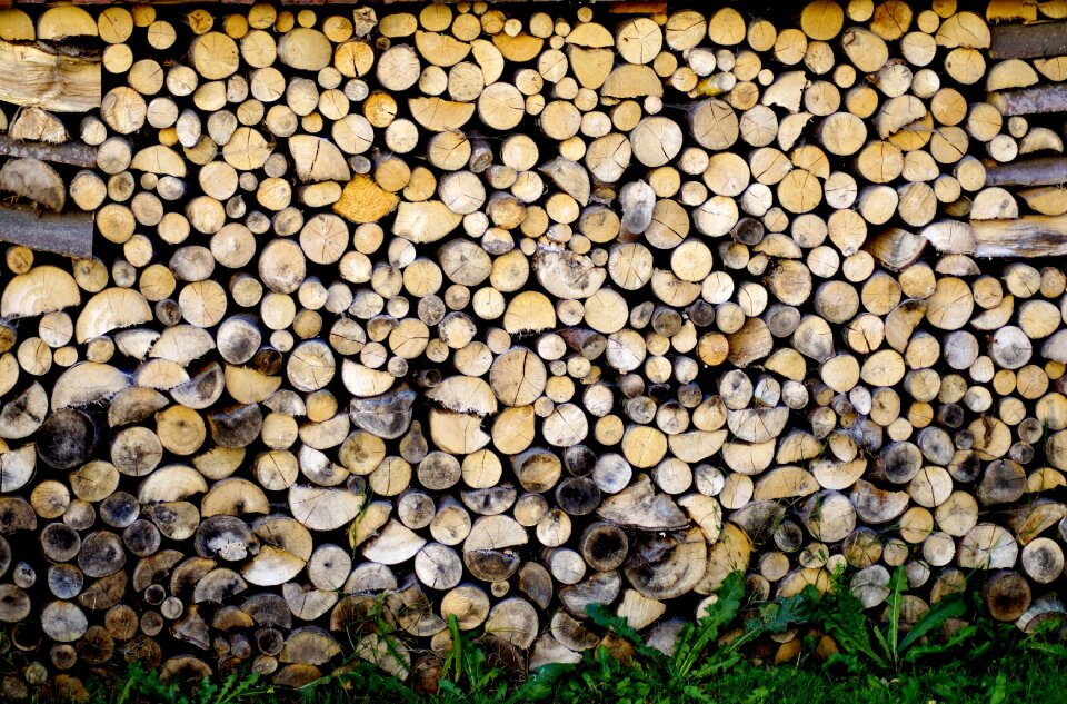 Background pattern wood photo