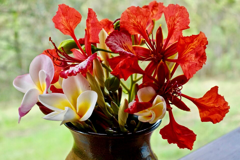 Cutting blooms blossom