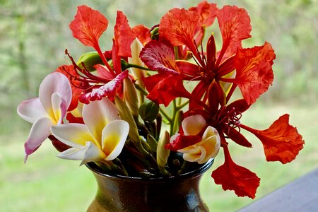 Cutting blooms blossom