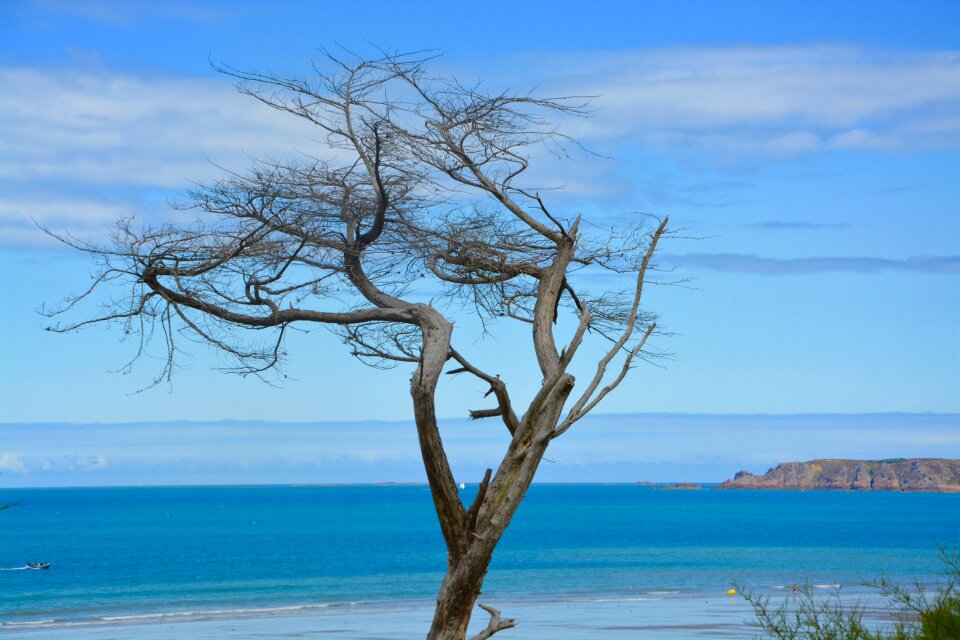Seascape blue color sea