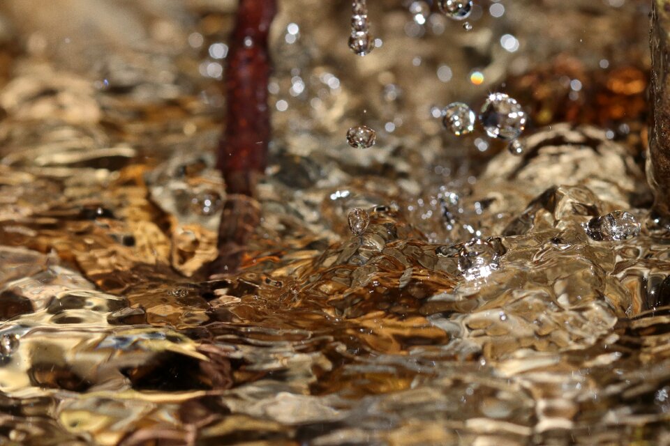 Liquid branch stones photo