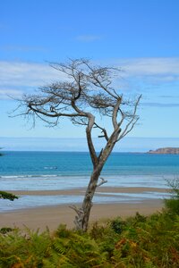 Seascape blue color sea beach