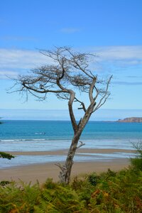 Seascape blue color sea beach photo