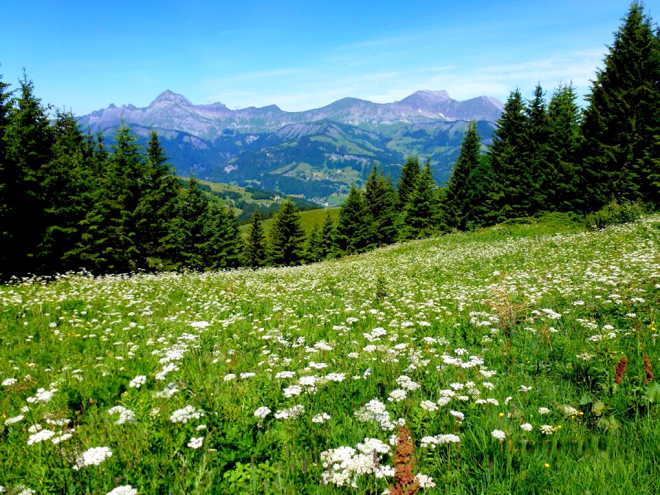 Landscape panorama view