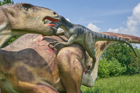 Carnivores attack carnivorous
