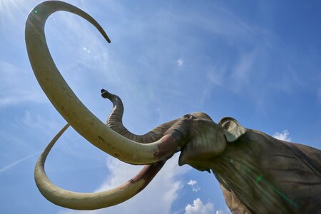 Prehistoric times replica dino