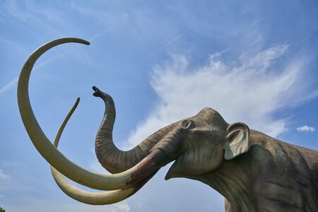 Prehistoric times replica dino