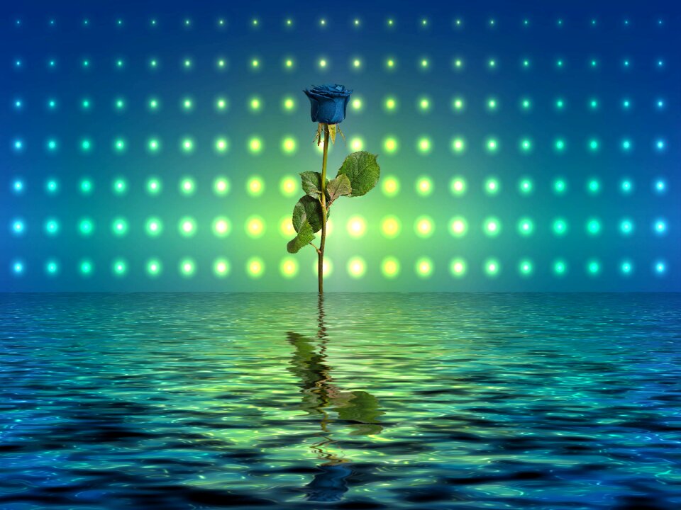 Water reflection water color