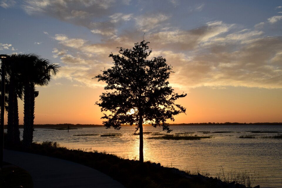 Silhouette lake toho kissimmee