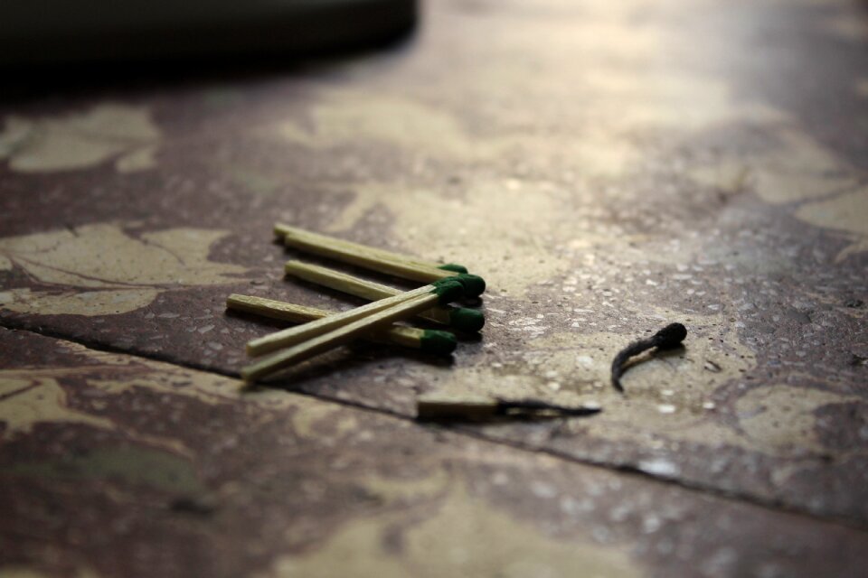 Dead stick wood still life