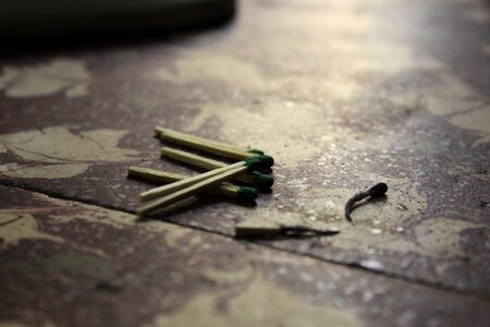 Dead stick wood still life
