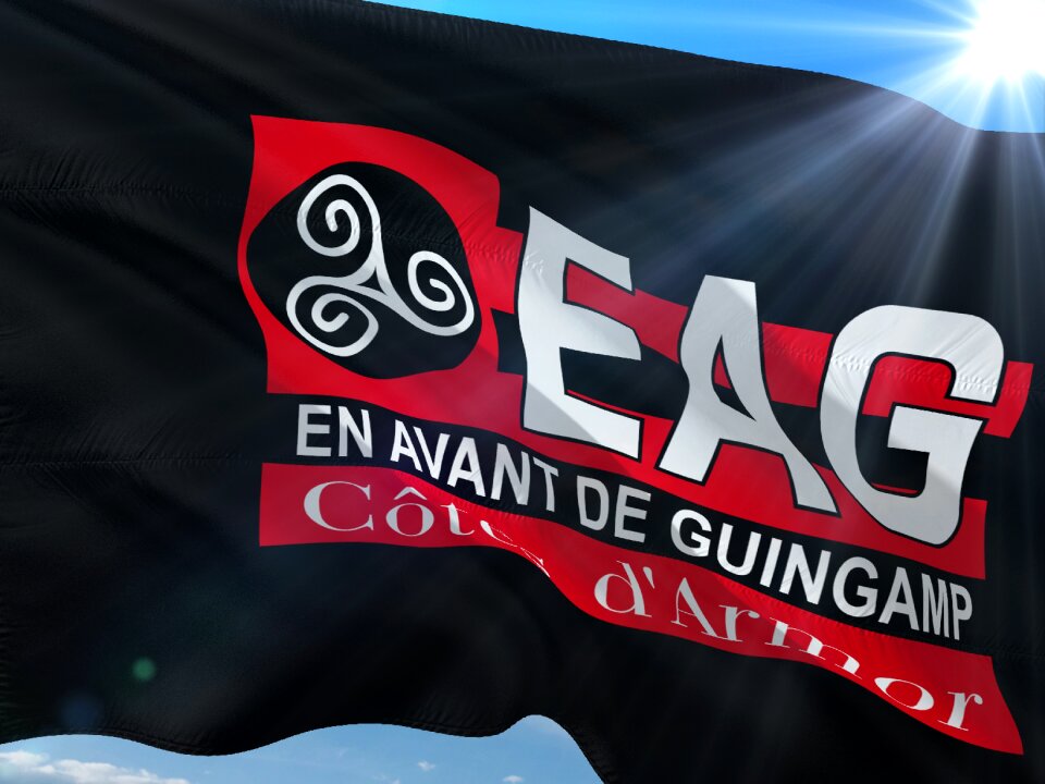 Ligue 1 flag ea guingamp