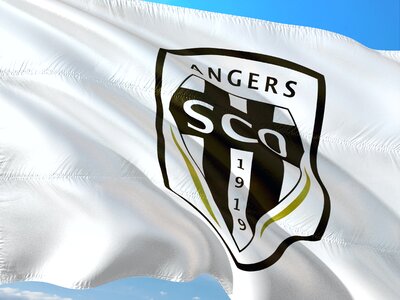 Ligue 1 flag sco angers photo