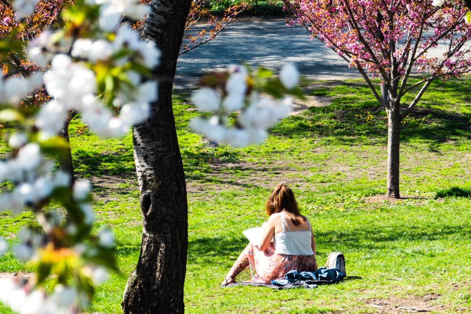 Relaxing sunbathing reading