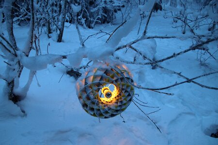 Snow white forest