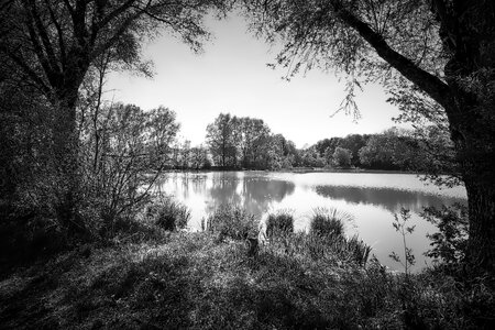 Reflection lake pond photo
