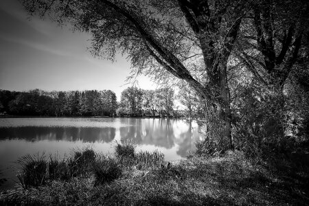 Reflection lake pond photo
