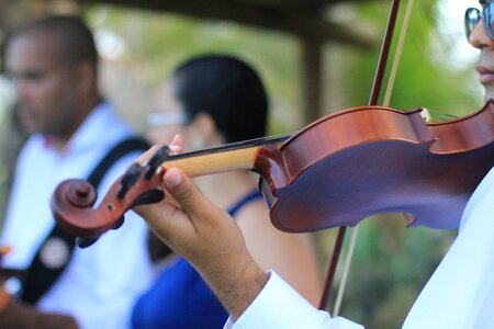 Event musician entertainment
