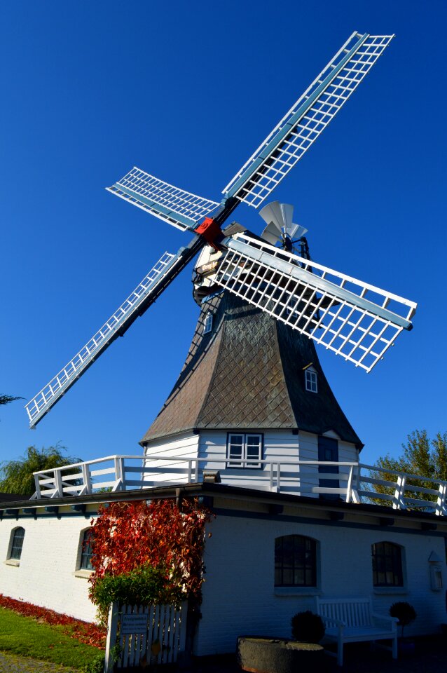 Mill friedrichskoog wedding mill forget-me-not