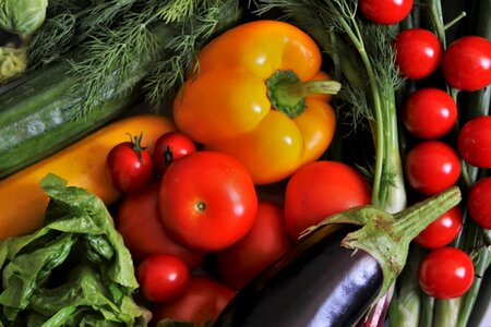 Food eat diet