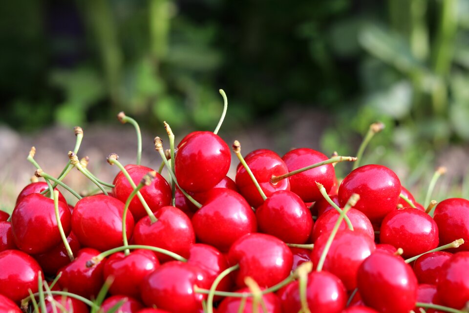 Delicious breakfast nature