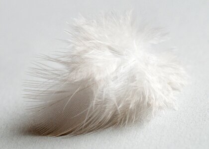 Feather white soft
