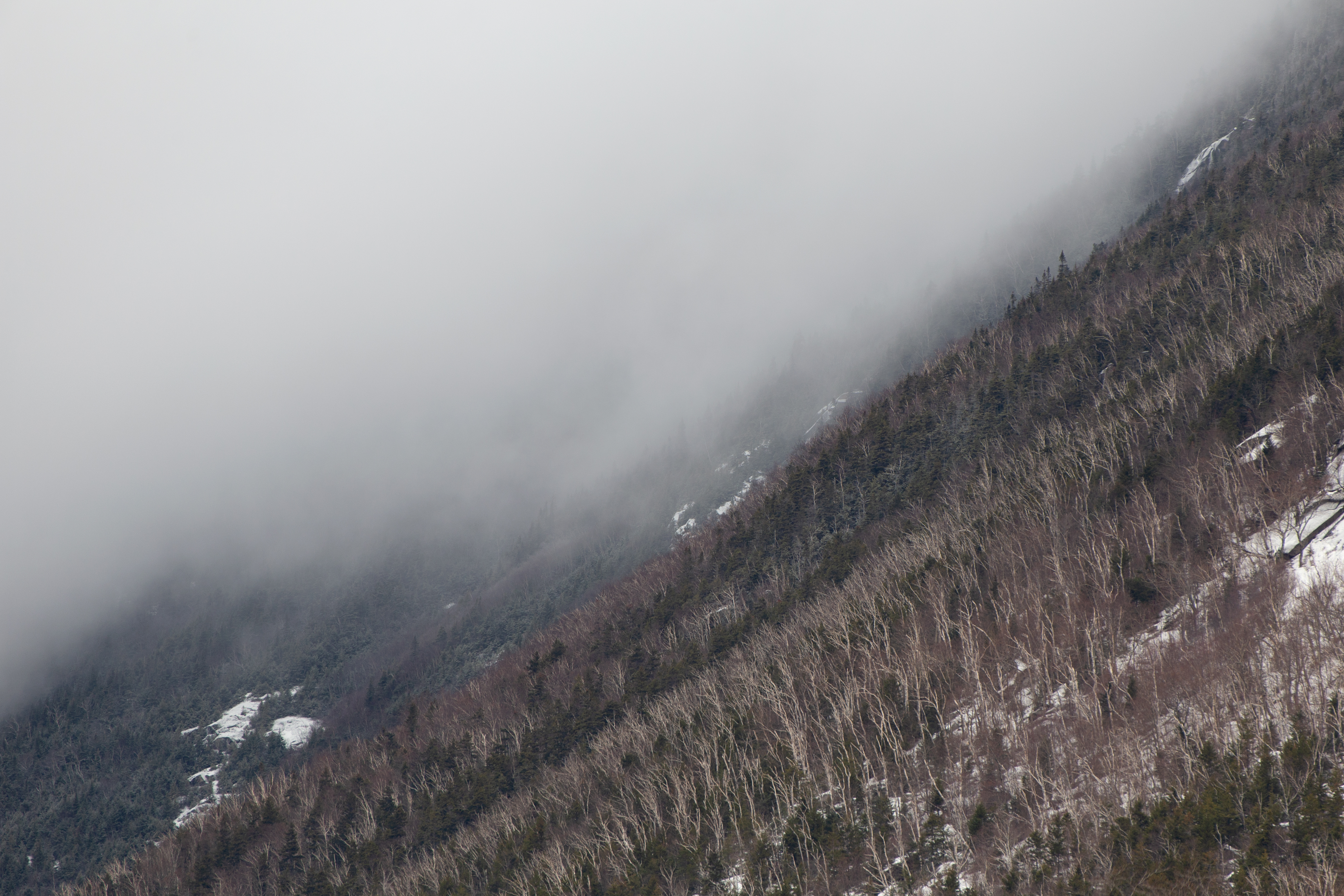 Foggy, Cold Mountainside photo