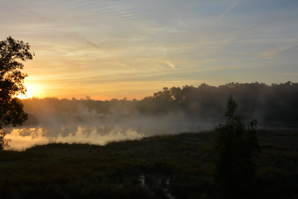Mist fog landscape
