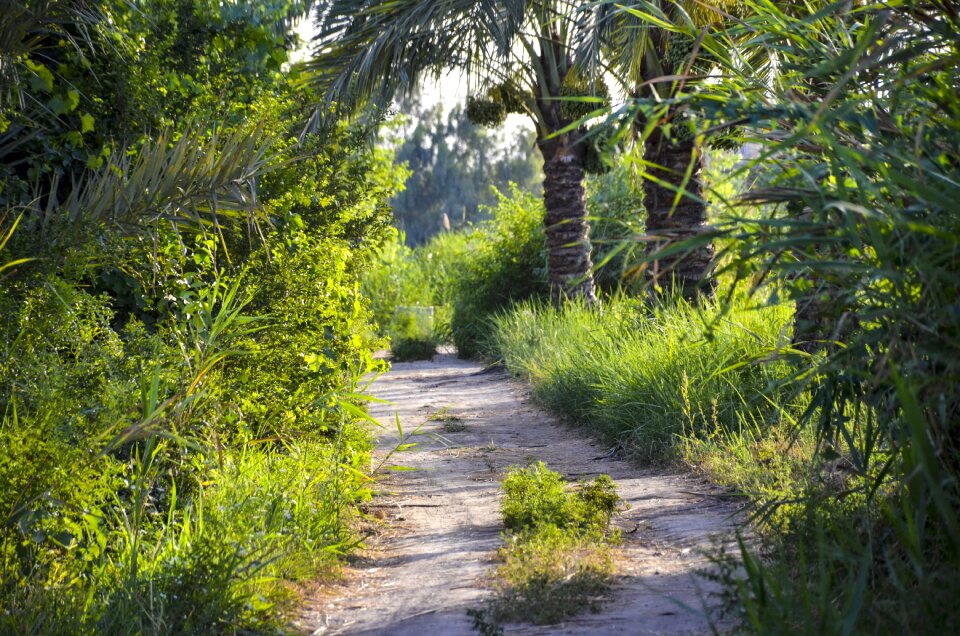 Nature away landscape