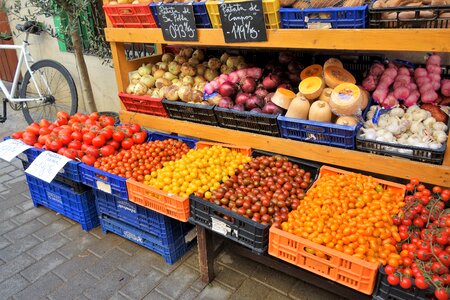Seven different tomatsorter soller mallorca
