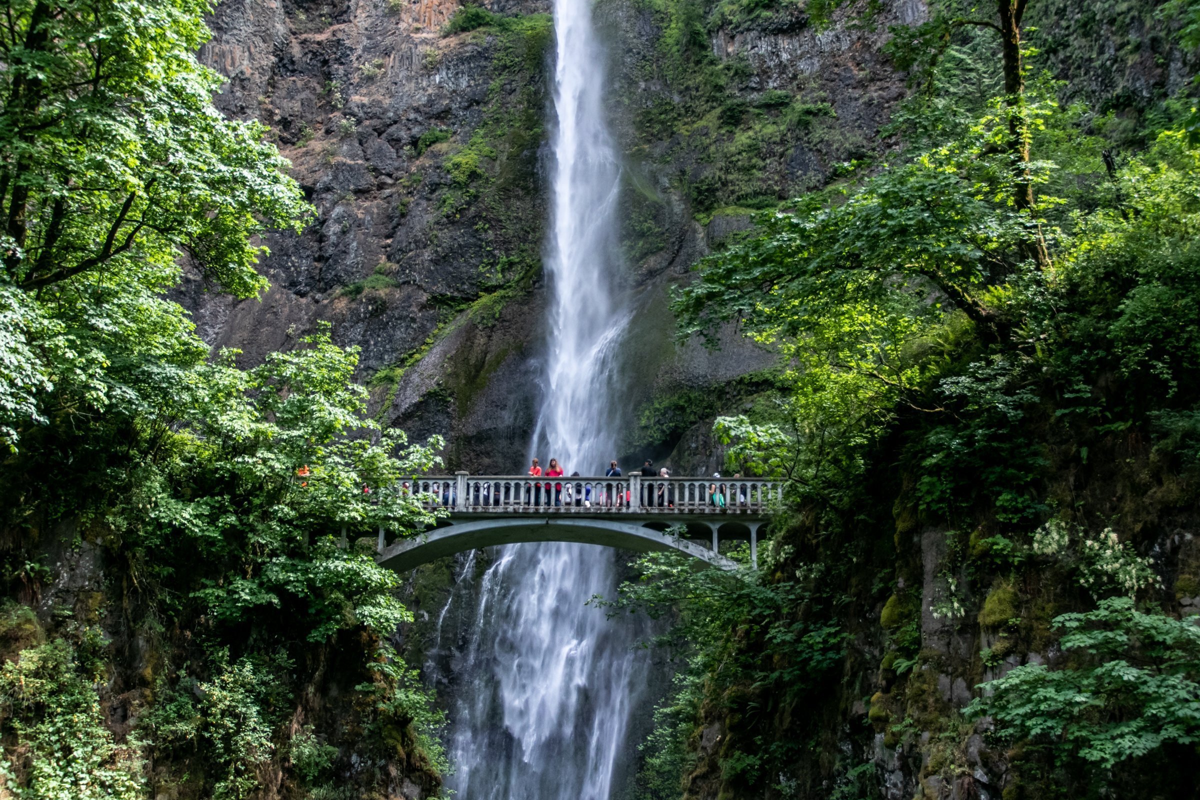 Waterfall Behind People On Bridge Between Trees photo