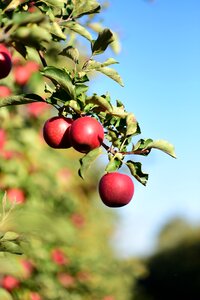 Autumn fresh collections