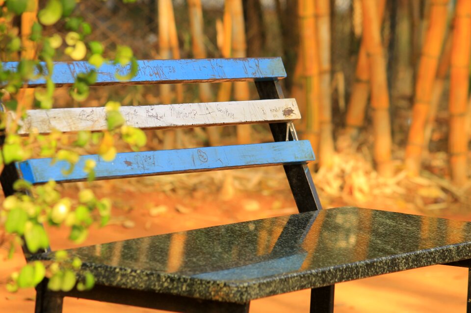 Place nature morning
