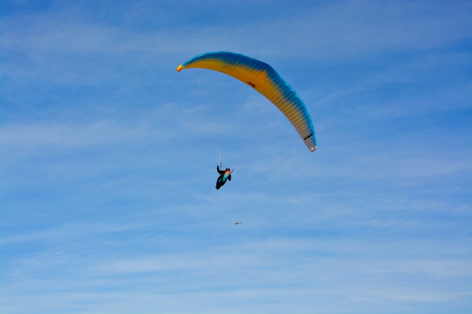 Free flight fly entertainment