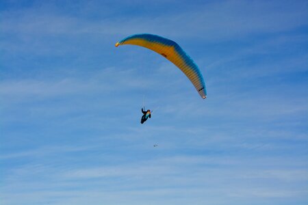 Free flight fly entertainment photo