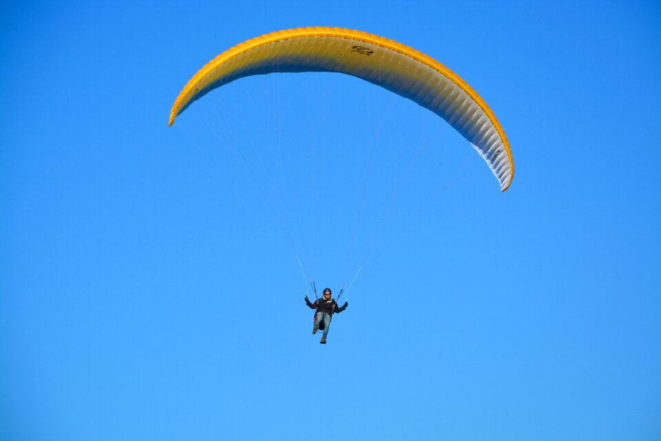 Free flight fly entertainment